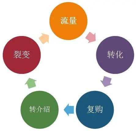 四川省開設營銷策劃專業的高校及其安全咨詢服務